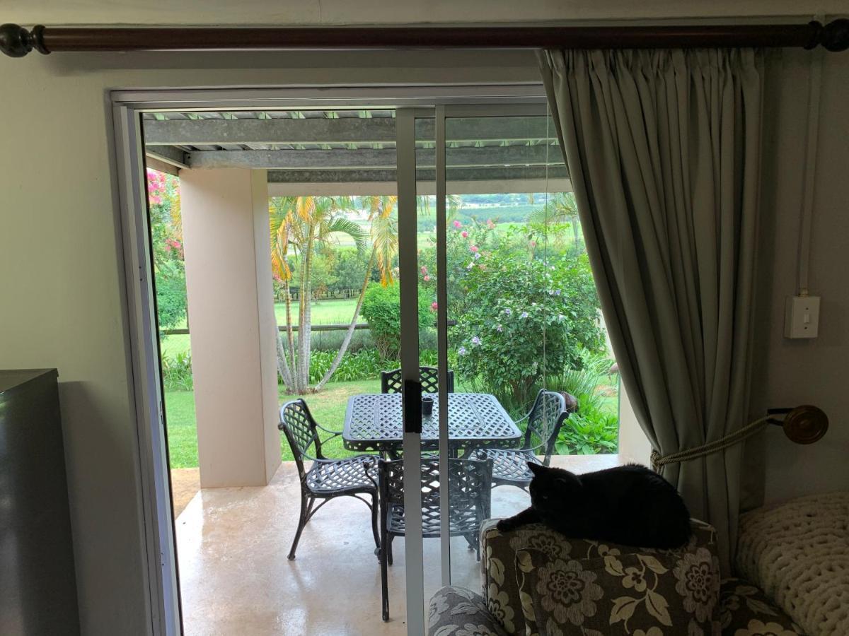 Jelani Guest House White River Bagian luar foto